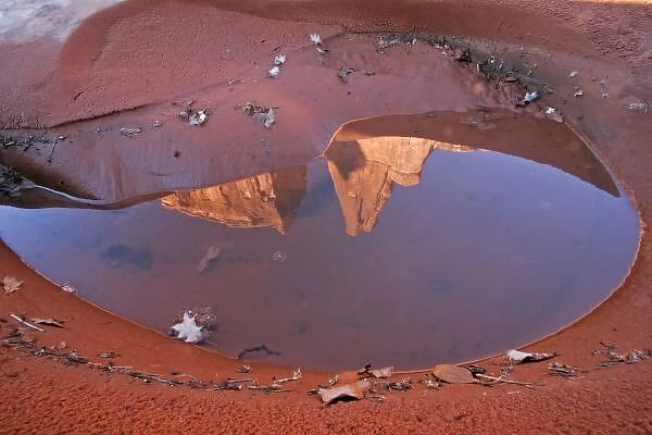 USA, Utah, Arches National Park. Rock formations reflected in rain puddle on Park Avenue Trail