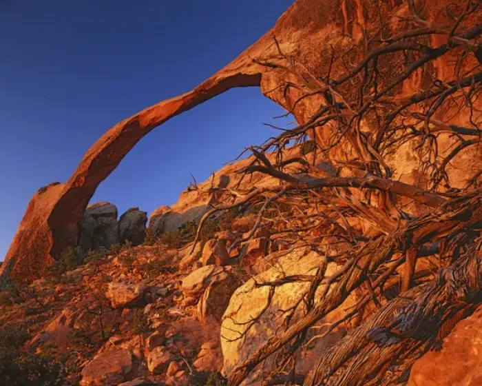 Framed Print : USA, Utah, Arches National Park, Landscape Arch