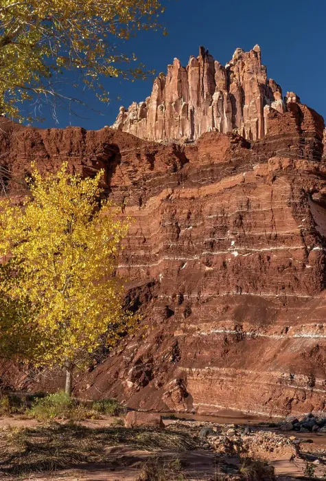 Framed Print : USA, Utah. Autumn cottonwood and the Castle, Capitol Reef National Park Framed Print : USA, Utah. Autumn cottonwood and the Castle, Capitol Reef National Park