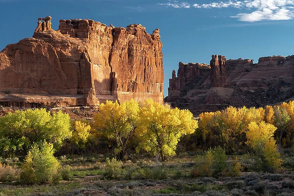 USA, Utah. Autumn cottonwoods and the Three Gossips at sunset, Arches National Park