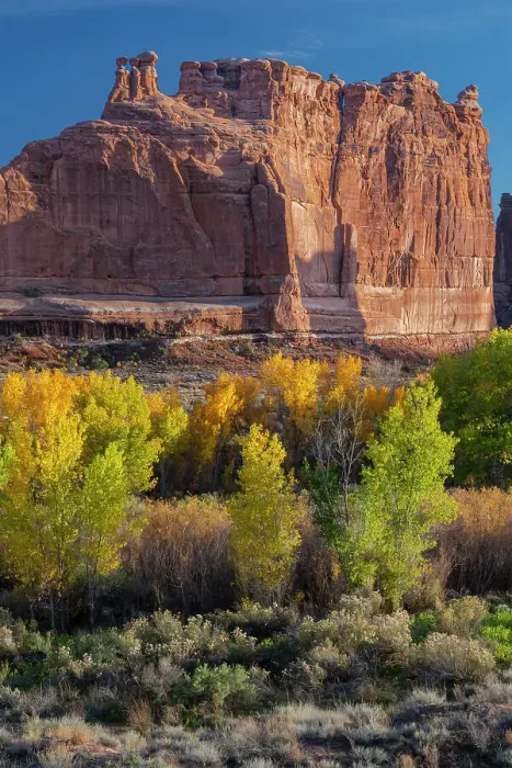 Framed Print : USA, Utah. Autumn cottonwoods at sunset, Arches National Park Framed Print : USA, Utah. Autumn cottonwoods at sunset, Arches National Park