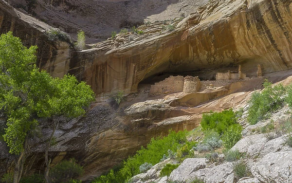USA, Utah, Bluff. Monarch Cave Ruin near Butler Wash on Cedar Mesa
