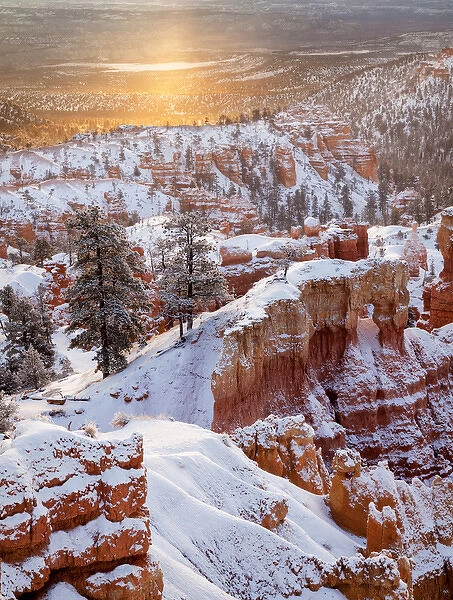 USA, Utah, Bryce Canyon National Park, Sunrise from Sunrise Point after fresh snowfall
