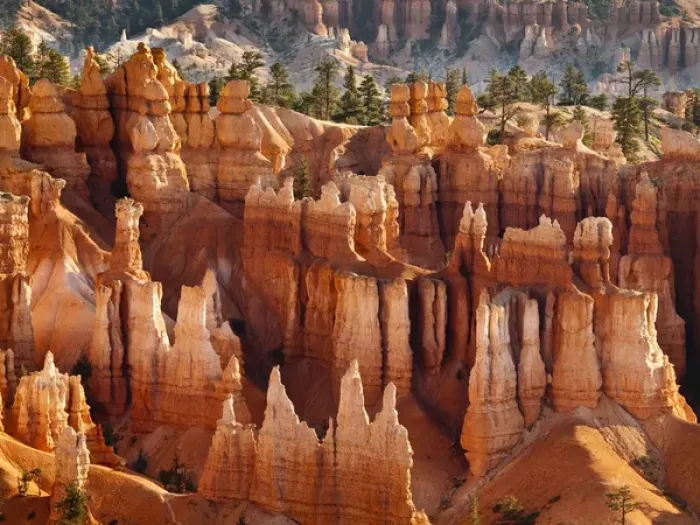Framed Print : USA, Utah, Bryce Canyon National Park, Morning light on hoodoos