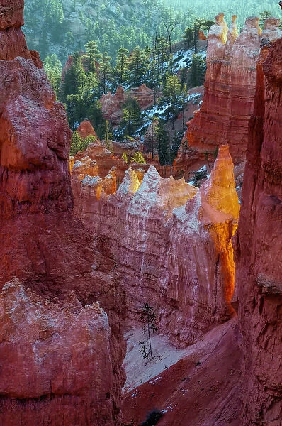 USA, Utah, Bryce Canyon National Park. Close-up of hoodoos