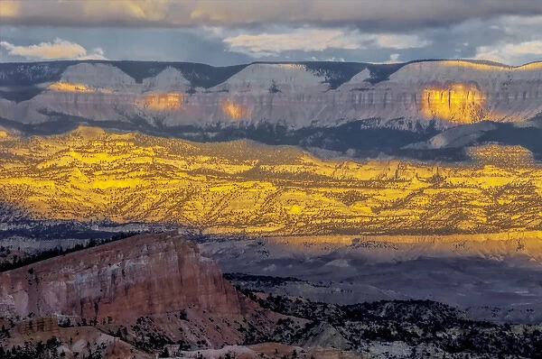 USA, Utah, Bryce Canyon National Park. Sunrise contrasts on canyon