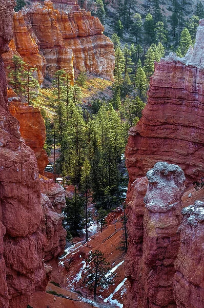 USA, Utah, Bryce Canyon National Park. Close-up of hoodoos