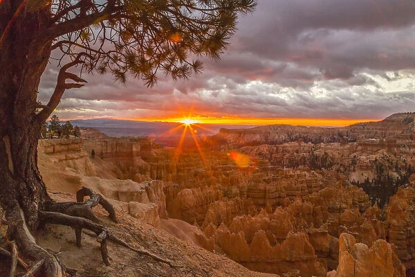 USA, Utah, Bryce Canyon National Park. Sunrise on canyon