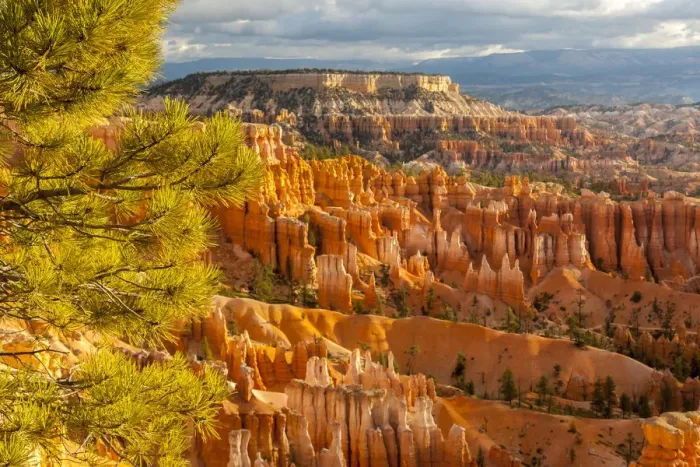 Framed Print : USA, Utah, Bryce Canyon National Park. Overview of canyon formations Framed Print : USA, Utah, Bryce Canyon National Park. Overview of canyon formations