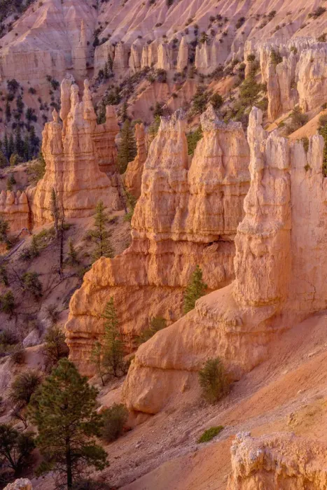 Framed Print : USA, Utah, Bryce Canyon National Park, Dawn view south from Fairyland Point with colorful Framed Print : USA, Utah, Bryce Canyon National Park, Dawn view south from Fairyland Point with colorful