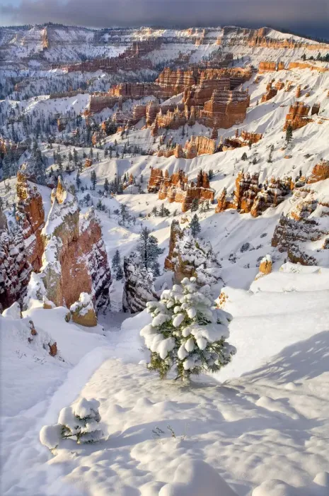 Framed Print : USA, Utah, Bryce Canyon National Park. Winter sunrise on snow-covered landscape Framed Print : USA, Utah, Bryce Canyon National Park. Winter sunrise on snow-covered landscape