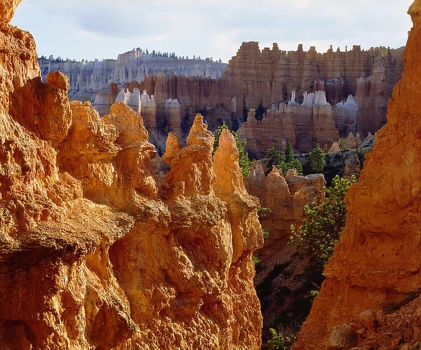 USA; Utah; Bryce Canyon National Park; Sandstone formations