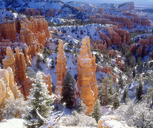 USA; Utah; Bryce Canyon National Park; Winter