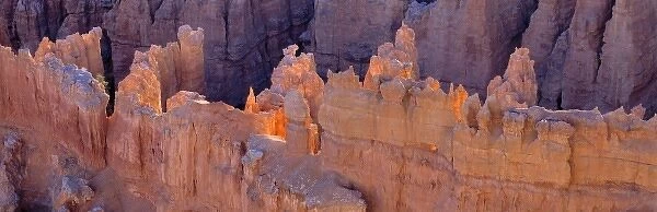 USA, Utah, Bryce Canyon NP. Backlit hoodoos appear to be touched by fire in Bryce