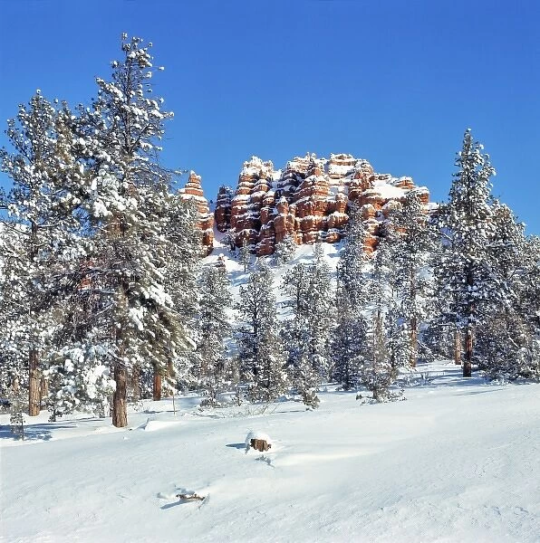 USA, Utah, Bryce Canyon NP. Fresh snow enhances the color on the sandstone bluffs