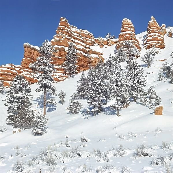 USA, Utah, Bryce Canyon NP. Snow-covered sandstone bluffs juts into the blue sky
