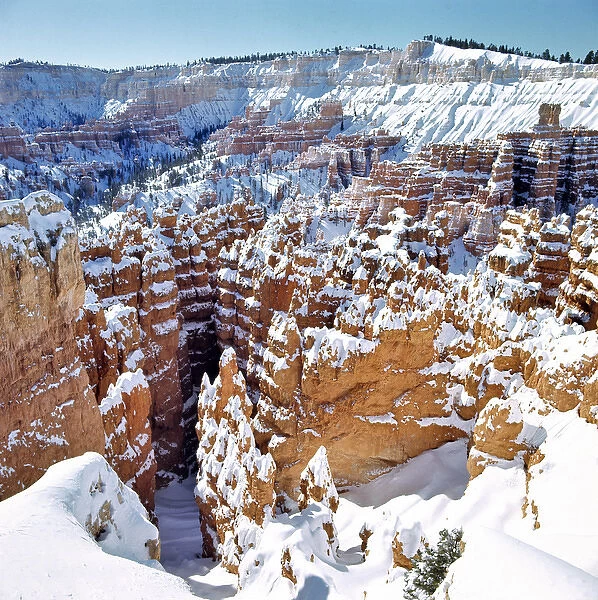 USA, Utah, Bryce Canyon NP. Snow-covered hoodoos as seen from the overlook at Bryce
