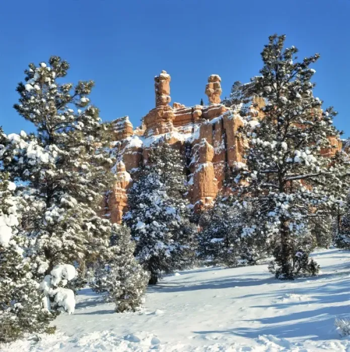Framed Print : USA, Utah, Bryce Canyon NP. Snow covers the trees and cliffs in Bryce Canyon National Park, Utah Framed Print : USA, Utah, Bryce Canyon NP. Snow covers the trees and cliffs in Bryce Canyon National Park, Utah
