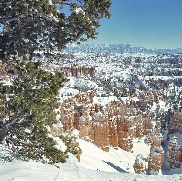 USA, Utah, Bryce Canyon NP. Snow fall on Bryce Canyon National Park, Utah, fills the canyons