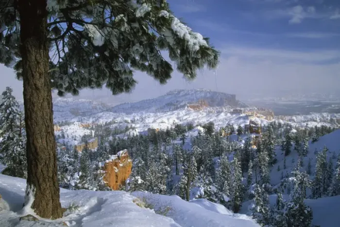 Framed Print : USA, Utah, Bryce Canyon in Winter. Credit as: Nancy Rotenberg / Jaynes Gallery / DanitaDelimont Framed Print : USA, Utah, Bryce Canyon in Winter. Credit as: Nancy Rotenberg / Jaynes Gallery / DanitaDelimont