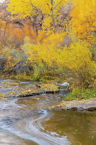 USA, Utah, Calf Creek Recreation Area in autumn