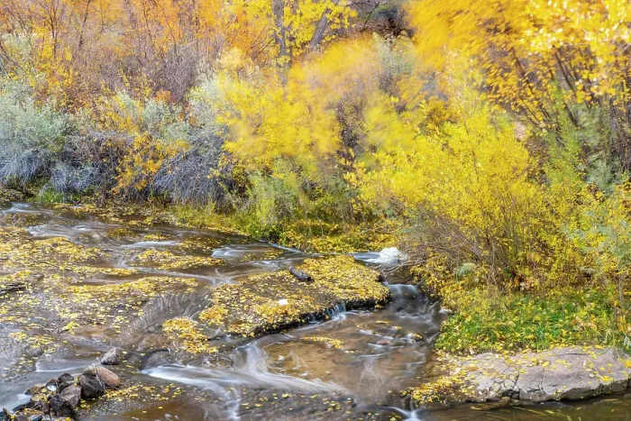 Framed Print : USA, Utah, Calf Creek Recreation Area in autumn Framed Print : USA, Utah, Calf Creek Recreation Area in autumn