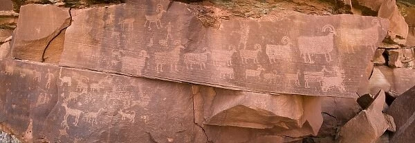 USA, Utah, Canyonlands National Park. Panorama of petroglyphs on rocks