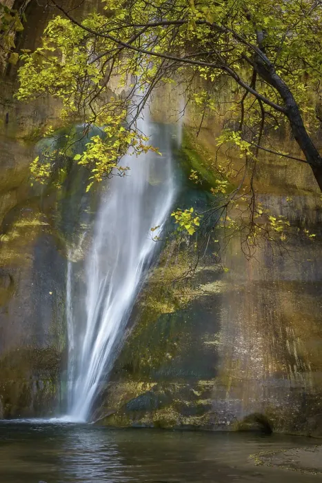 Framed Print : USA, Utah, Capital Reef National Park. Waterfall and tree overlooking pool