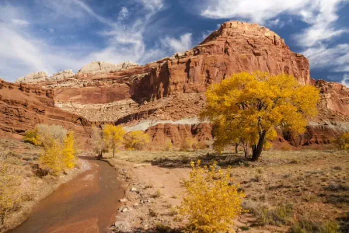 Framed Print : USA, Utah, Capitol Reef. Creek and autumn landscape Framed Print : USA, Utah, Capitol Reef. Creek and autumn landscape