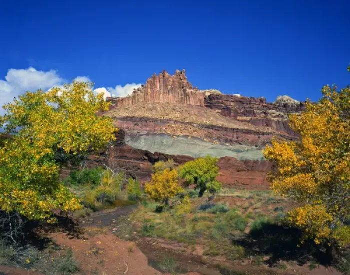 Framed Print : USA, Utah, Capitol Reef National Park, showing The Castle along the Fremont River Framed Print : USA, Utah, Capitol Reef National Park, showing The Castle along the Fremont River