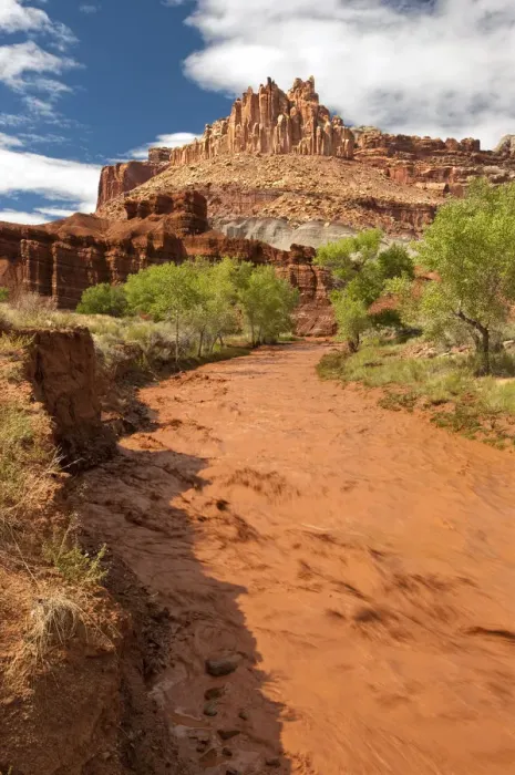 Framed Print : USA, Utah, Capitol Reef National Park. Fremont River flows thick with red clay silt Framed Print : USA, Utah, Capitol Reef National Park. Fremont River flows thick with red clay silt