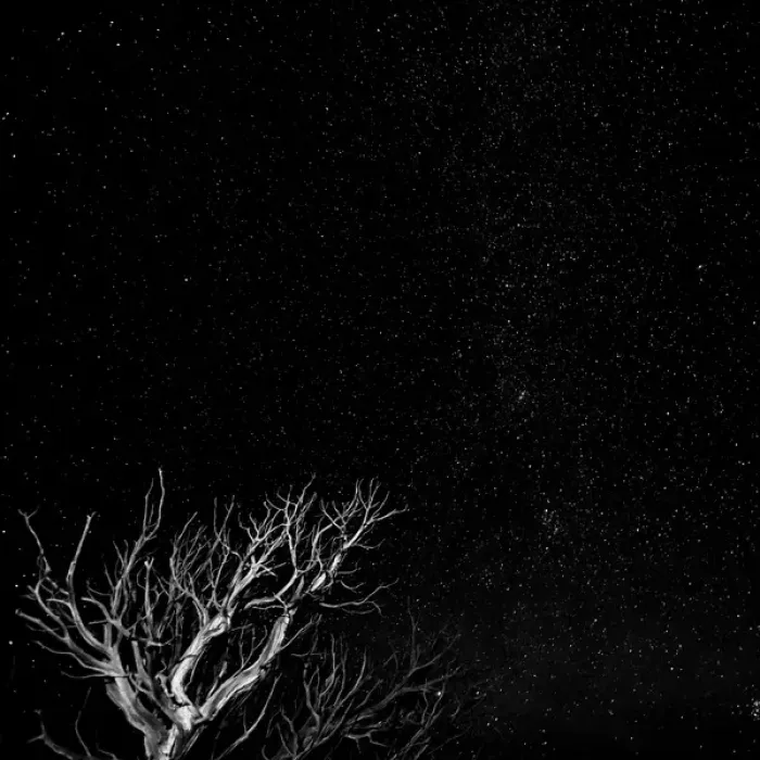 Framed Print : USA, Utah, Capitol Reef National Park. Dead tree and night sky Framed Print : USA, Utah, Capitol Reef National Park. Dead tree and night sky