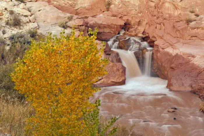 Framed Print : USA, Utah, Capitol Reef National Park. Autumn waterfall on the Fremont River. Credit as