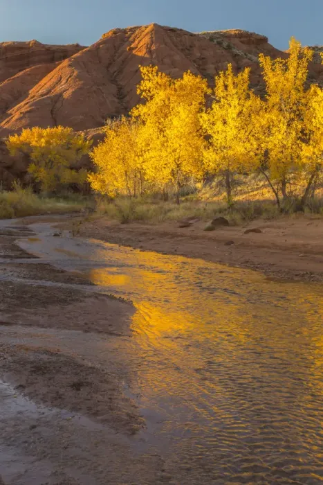 Framed Print : USA, Utah, Capitol Reef National Park. Sulphur Creek in autumn Framed Print : USA, Utah, Capitol Reef National Park. Sulphur Creek in autumn