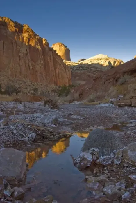 Framed Print : USA, Utah, Capitol Reef National Park. The Golden Cathedral reflected in a small pool