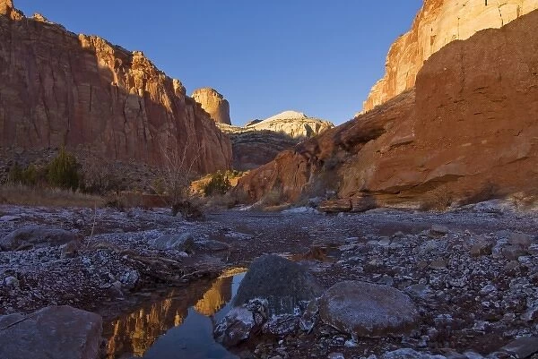 USA, Utah, Capitol Reef National Park. The Golden Cathedral reflected in a small pool