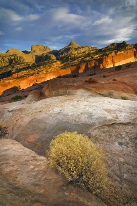 Framed Print : USA, Utah, Capitol Reef National Park