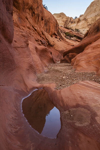 USA, Utah, Capitol Reef. Pool reflection in Lower Muley Twist Canyon. Credit as