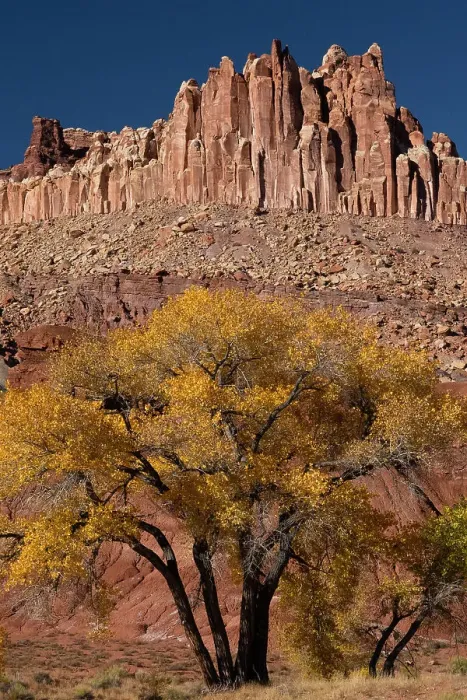 Framed Print : USA, Utah. The Castle, geological features and autumn foliage, Capitol Reef National Park Framed Print : USA, Utah. The Castle, geological features and autumn foliage, Capitol Reef National Park