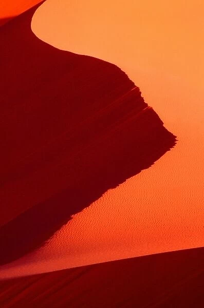 USA, Utah, Coral Pink Sand Dunes State Park. Abstract dune patterns at sunset