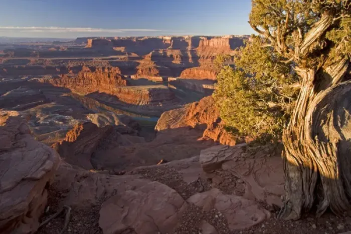Framed Print : USA, Utah, Dead Horse Point State Park. Sunrise on the park. Credit as: Cathy & Gordon Framed Print : USA, Utah, Dead Horse Point State Park. Sunrise on the park. Credit as: Cathy & Gordon