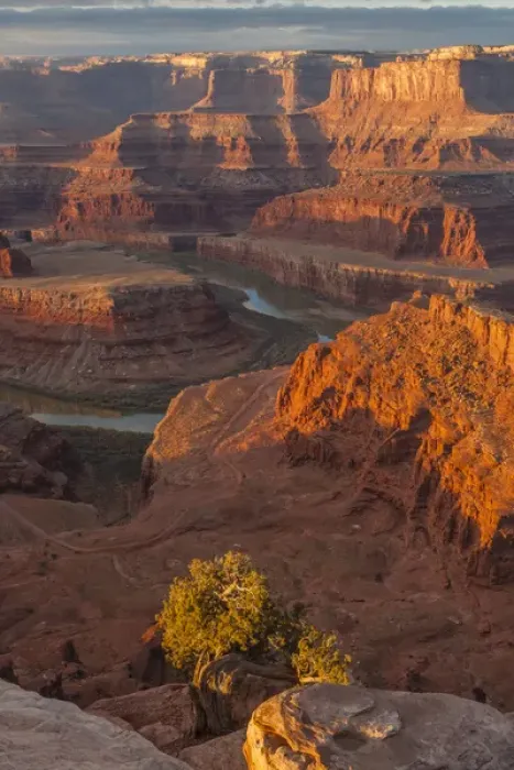 Framed Print : USA, Utah, Dead Horse Point State Park. Sunrise on Colorado River Framed Print : USA, Utah, Dead Horse Point State Park. Sunrise on Colorado River