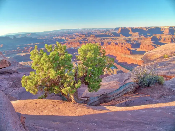 Framed Print : USA, Utah. Dead Horse Point State Park, sunrise view of the canyon below