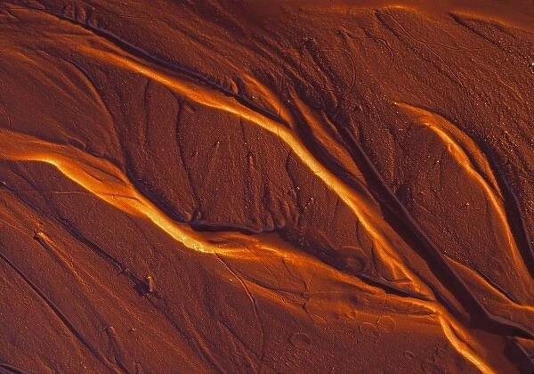 USA, Utah. A dendritic mud pattern resembles an aerial of canyons on the Colorado Plateau, Utah