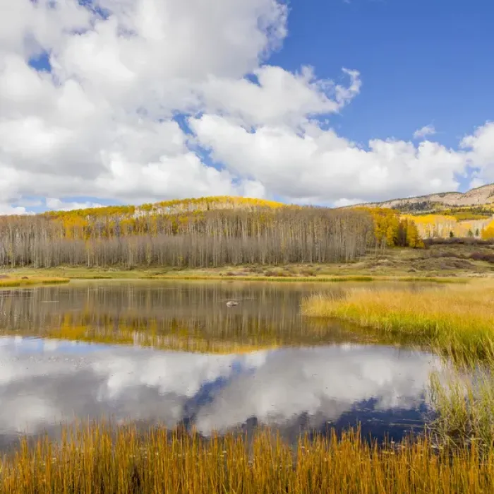 Framed Print : USA, Utah, Dixie National Forest. Chriss Lake landscape Framed Print : USA, Utah, Dixie National Forest. Chriss Lake landscape