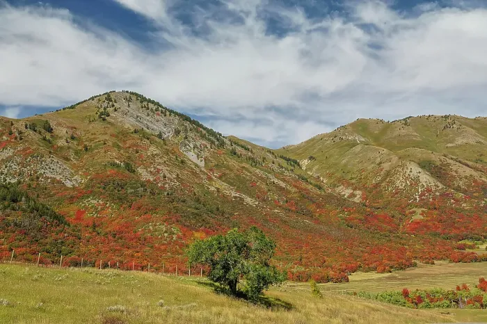 Framed Print : USA, Utah. East of Brigham City near Wellsville with mountain range covered in canyon maple in reds of fall color Framed Print : USA, Utah. East of Brigham City near Wellsville with mountain range covered in canyon maple in reds of fall color