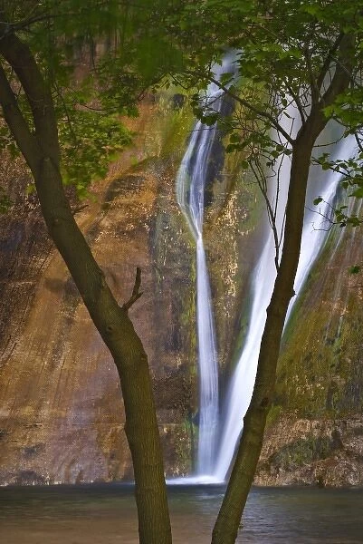 USA, Utah, Escalante Wilderness. A view of lower Calf Creek Falls