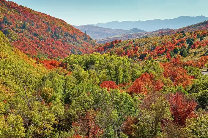 Framed Print : USA, Utah. Foothills east of Ogden in fall colors with Aspen and maple
