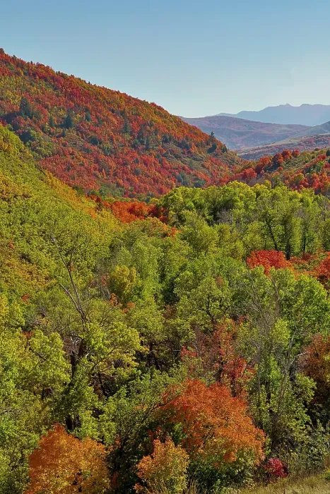 Framed Print : USA, Utah. Foothills east of Ogden in fall colors with Aspen and maple