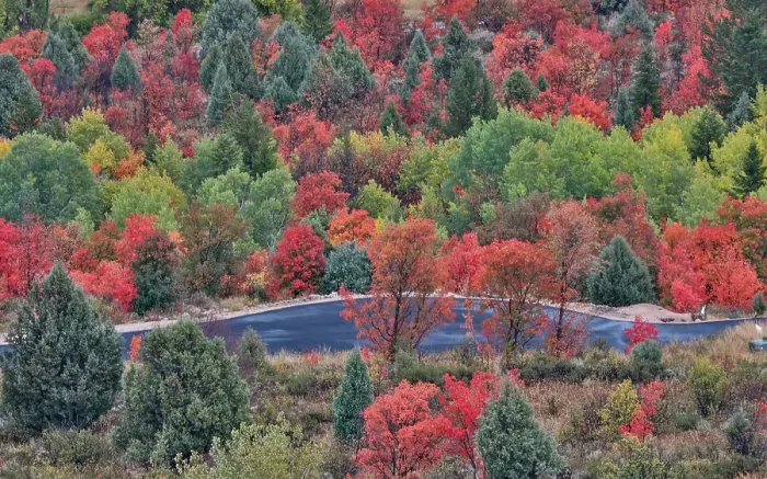 Framed Print : USA, Utah, Garden City. Bear lake area in autumn colors of red, golden on canyon maple and Aspen with road below Framed Print : USA, Utah, Garden City. Bear lake area in autumn colors of red, golden on canyon maple and Aspen with road below
